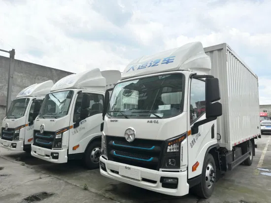 Camion elettrico leggero Camion EV Camion elettrico furgone elettrico di marca Dayun